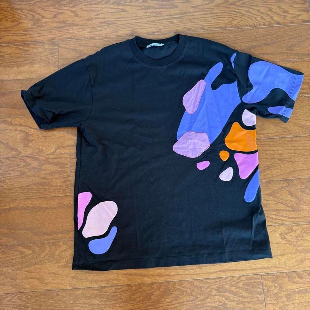 Zara Men's multi T-shirt